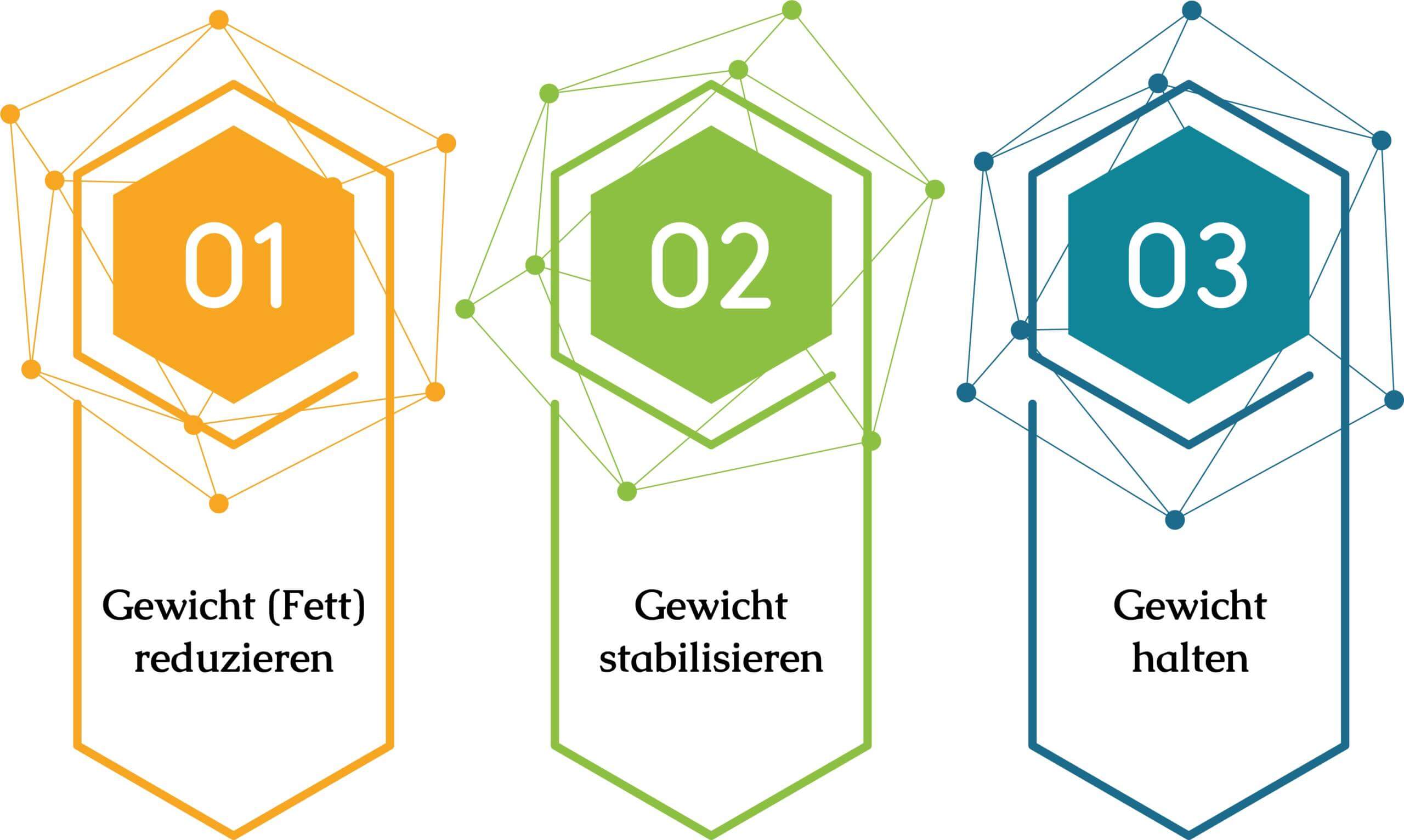 Grafik "Gewicht reduzieren", "Gewicht stabilisieren" und "Gewicht halten"